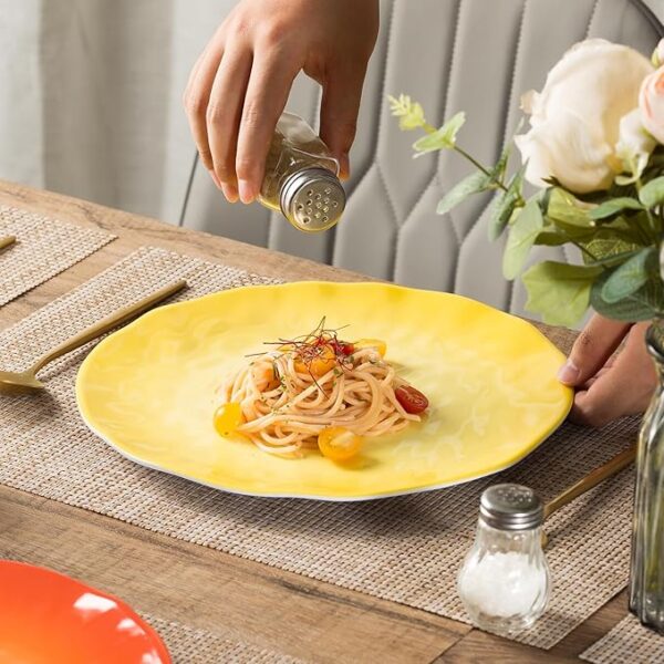 Melamine Dinner Plate 50% Off Deal Use Code VVEW5J3Z - Image 4