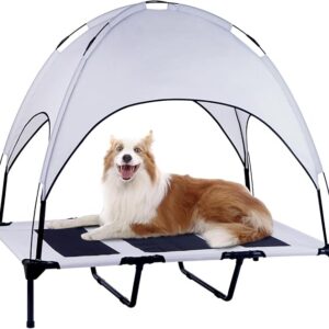 Elevated Dog Bed with Removable Canopy 50% Off