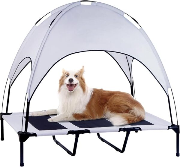Elevated Dog Bed with Removable Canopy 50% Off