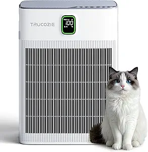 Air Purifier for Home 69% Off