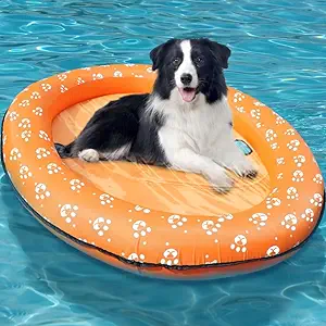 Pool Floats for Dogs 50% Savings